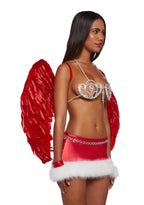Supermodel Angel Costume