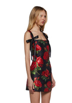 Pixie Stardust Mini Dress – Roses