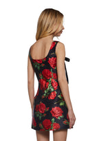 Pixie Stardust Mini Dress – Roses